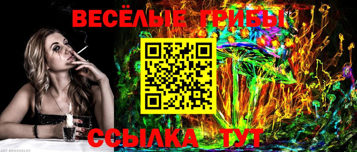 Псилоцибиновые грибы MAGIC MUSHROOMS  Псилоцибиновые грибы Psilocybine cubensis  Петропавловск-Камчатский  Вход с VPN 